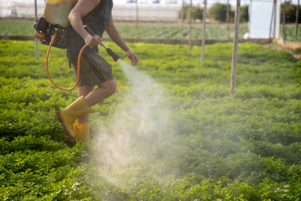 Best Pest Control Near Me  in Honea Path, SC